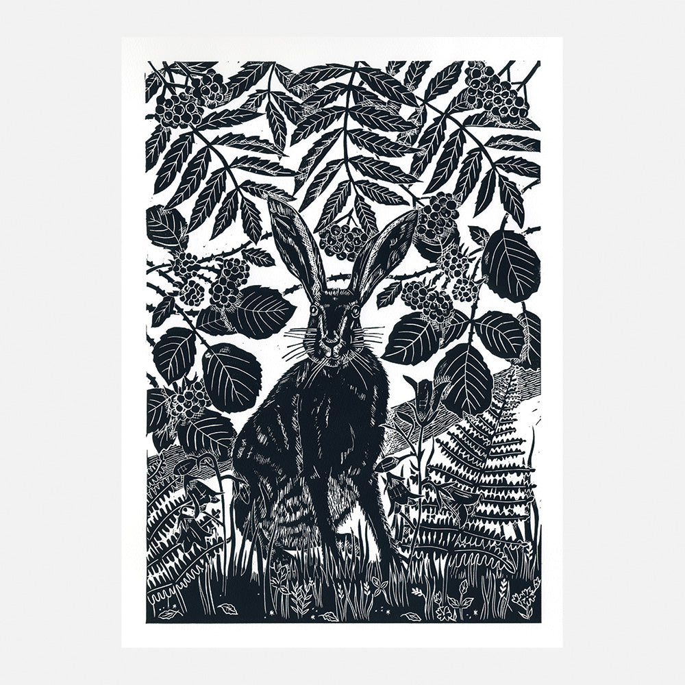 Hare and Rowan