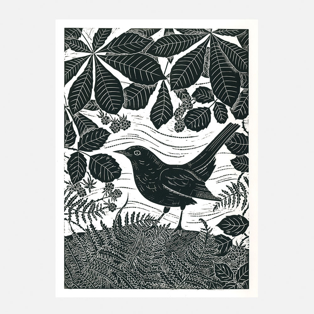 Autumn Blackbird