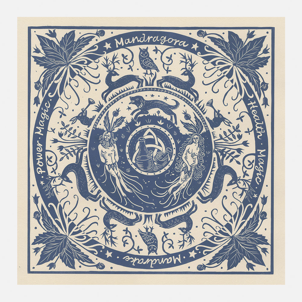 Mandragora