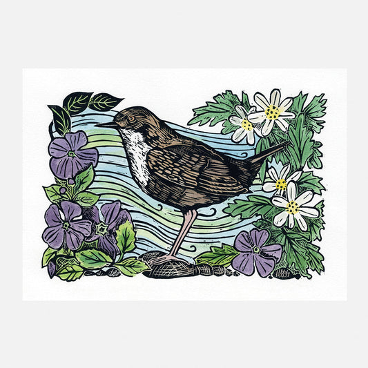 Windermere Dipper